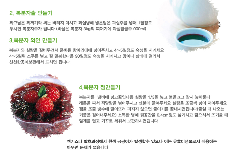 라즈베리 효과 6